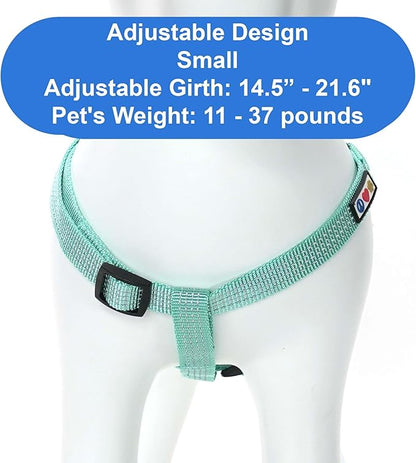 Pawtitas Reflective Step-in Dog Harness – Adjustable No-Pull Vest for Puppies to Seniors, Safe & Comfortable, S Teal