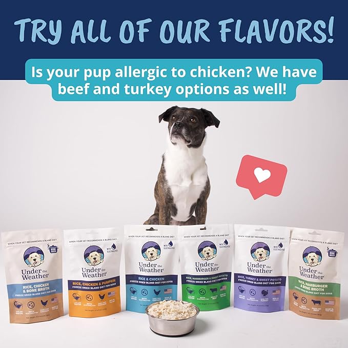 Under the Weather Bland Diet for Dogs | Easy to Digest for Sick Dogs |Always Be Ready| Contains Electrolytes - All Natural Freeze Dried 100% Human Grade Meats| 1 Pack- Chicken, Rice & Bone Broth - 6oz
