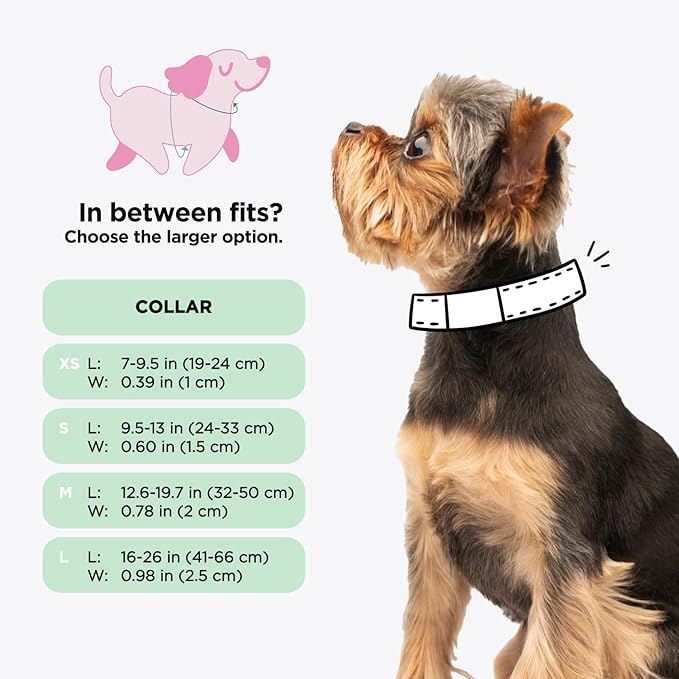 Sassy Woof Dog Collar Scooby-Doo™ - S, Adjustable, Durable, Comfortable and Stylish Pet Accessories for Small Dogs - Officially Licensed