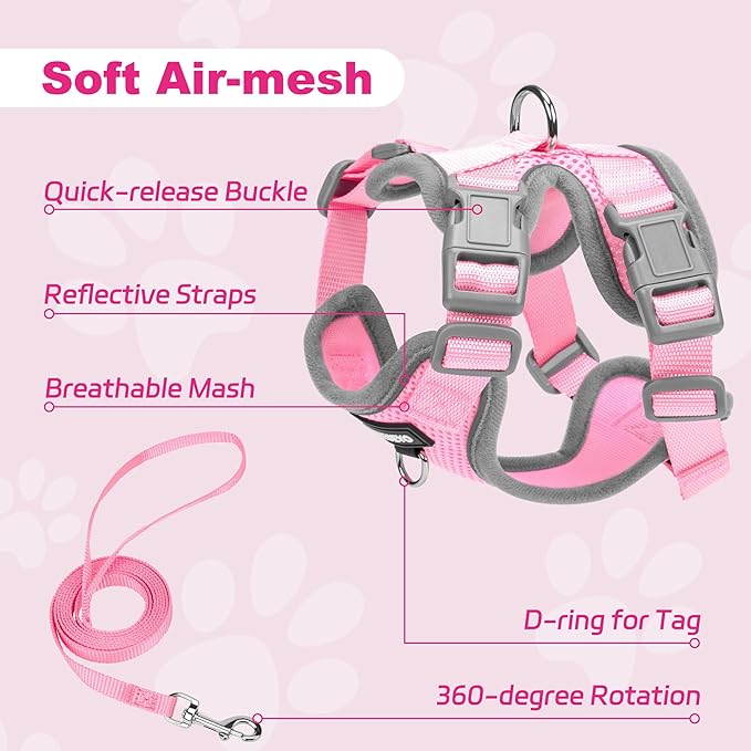Small Dog Harness and Leash Set, No Pull Adjustable Pet Harness for Small Dogs, Breathable Mesh Rflective Dog Vest Harness (Pink, XS)