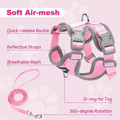 Small Dog Harness and Leash Set, No Pull Adjustable Pet Harness for Small Dogs, Breathable Mesh Rflective Dog Vest Harness (Pink, XS)