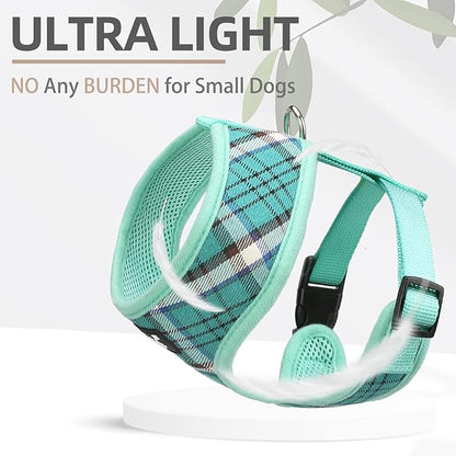 PUPTECK Soft Mesh Dog Harness and Leash Set Pet Puppy Cat Comfort Padded Vest No Pull Harnesses, Green, XS