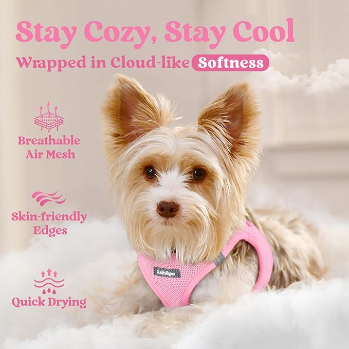 rabbitgoo Small Dog Harness, Step-in Soft Mesh Puppy Vest with Safety Buckle, Breathable Reflective Pet Harness for Small Medium Dogs, Light Pink XL