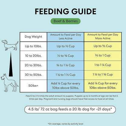 The Pets Table Beef & Berries Grain-Free Air Dried Dog Food, 3lbs / 48 oz Bag