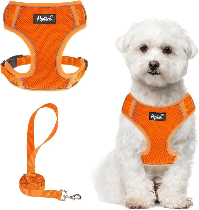 PUPTECK Small Dog Harness and Leash Set, No Pull Adjustable Puppy Cat Harness, Reflective Soft Mesh Pet Vest Small Sized, Orange, M