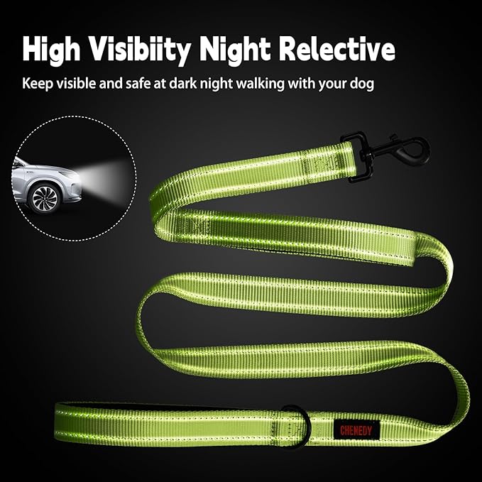 Heavy Duty Double Handle Reflective Leash for Large Breed Dogs - Perfect for Medium to Large Dogs (5FT, Light Green)