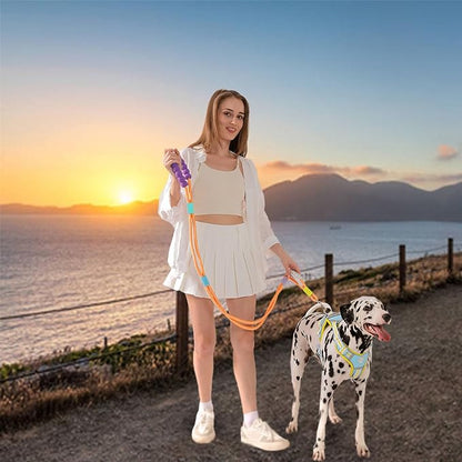 JSXD Dog Leash,5 FT Heavy Duty Dog Training Leash,Double Handle Comfortable Padded Hands Free Dog Leash,Adjustable Crossbody Waist Leash for Small Medium Large Dogs(Orange)