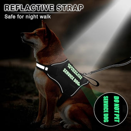 Service Dog Vest Harness and Leash Set+10 Patches,No Pull&Easy Walk Reflective Dog Harness with Soft Padded Handle for Training/Everyday,Fit Small/Medium/Large/Extra-Large Dogs(Black M)