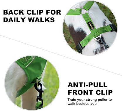 Plutus Pet No Pull Dog Harness, Reflective Adjustable Dog Vest Harness with Handle, Escape Proof, Soft Padded for Small Medium Large Dogs (Green, S)