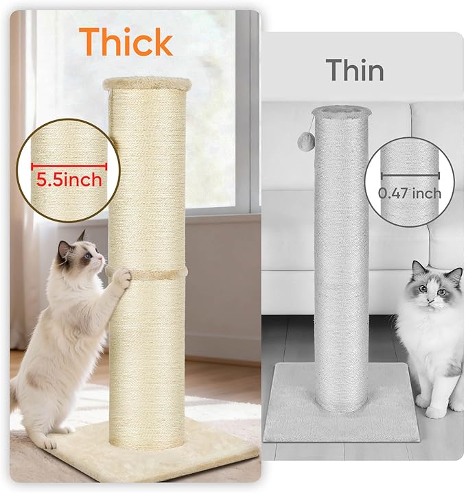 PAWSCRAT Cat Scratching Post 32 Inch High, 5.5 Inch Large Diameter Natural Sisal Cat Scratch Post, Scratch-Resistant and Durable Tall Cat Scratcher for Indoor Cats, Protect Your Furniture, Beige