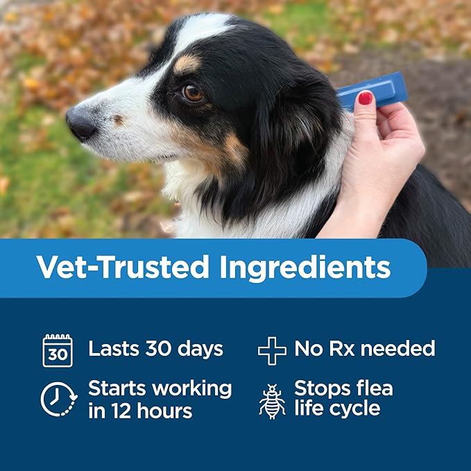 TevraPet Activate II Flea and Tick Prevention for Dogs | 4 Count | Medium Dogs 11-20 lbs | Topical Drops | 4 Months Flea Treatment