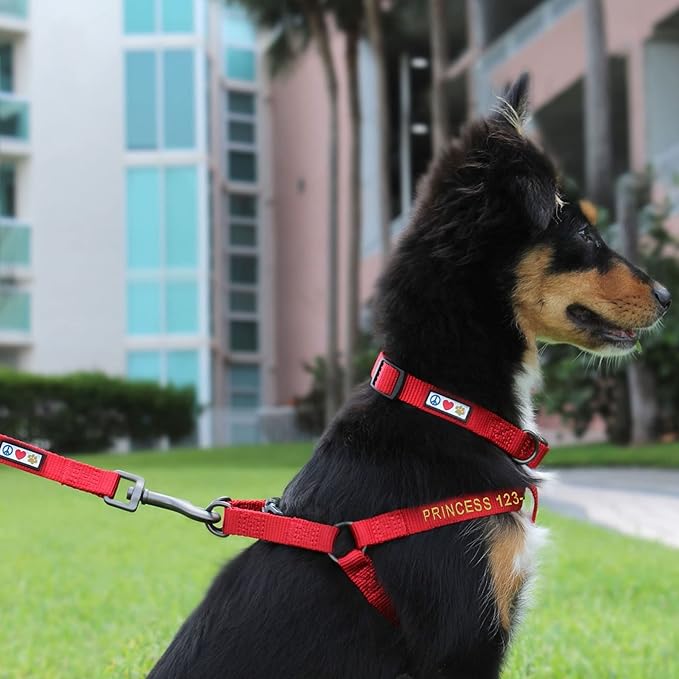 Pawtitas Personalized Dog & Puppy Harness Medium Pink Custom ID Tag Adjustable No Pull Vest