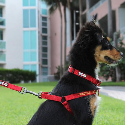 Pawtitas Personalized Dog & Puppy Harness Medium Pink Custom ID Tag Adjustable No Pull Vest
