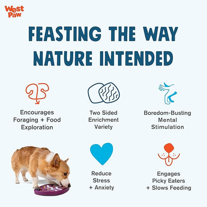 West Paw Seaflex Bubbles Feast Mat – All-in-One, Slow Feeder, Lick Mat – Encourages Foraging & Food Exploration - Engages Picky Eaters & Slow Feeding - Versatile – Easy to Clean, Non-Toxic - Tropic