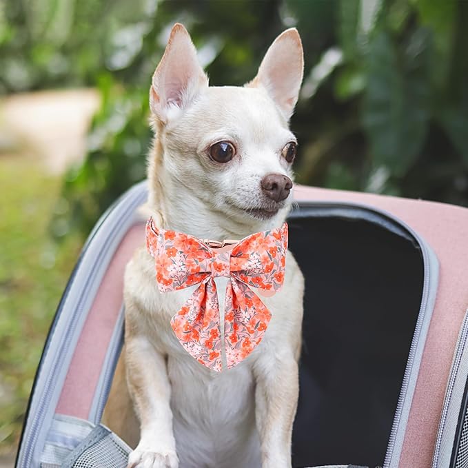 Orange Flower Bowtie Dog Collar - Summer Collar for Puppy Boy Girl, Comfortable Cotton With Metal Buckle, M