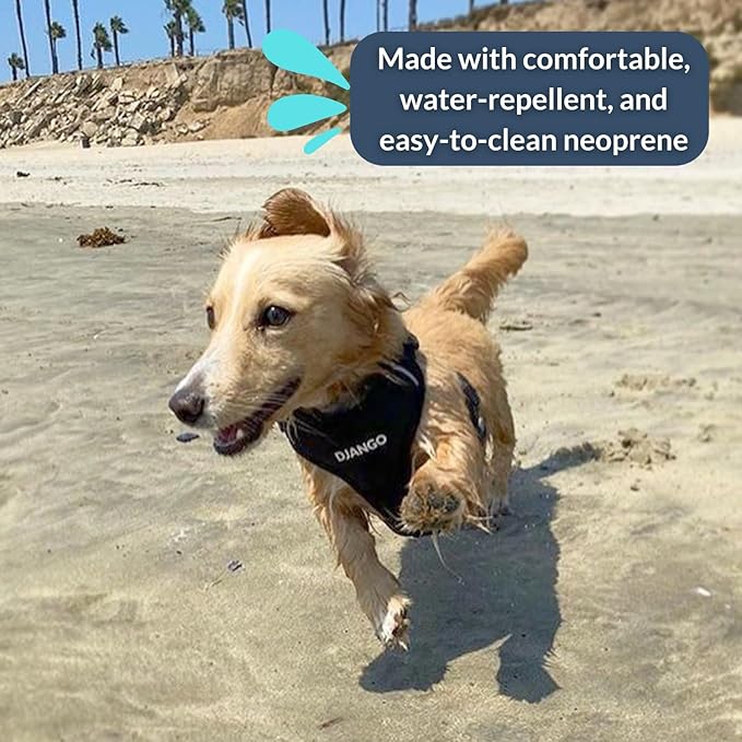 DJANGO Adventure Dog Harness - Stylish and Comfortable Small Dog Harness for Outdoor Adventures and Everyday Wear - Black Neoprene Adjustable Harness for Dogs with Reflective Piping and Brass D-Ring