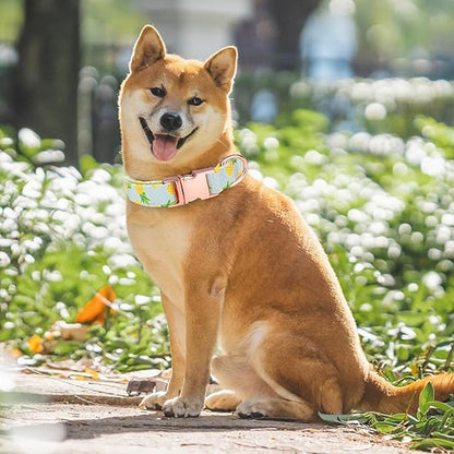 Dog Collar and Leash Set Girls Adjustable Puppy Collars with Fruit Bow Tie for Small Medium Large Female Dogs, Pineapple, XS