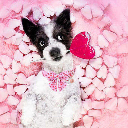 Valentine’s Dog Collar with Bow Tie, Pink Heart Bowtie Collar with Metal Buckle, Valentine’s Gift Pet Collar for Puppy Girl Boy Dog or Cat, Wedding Dog Collar, S