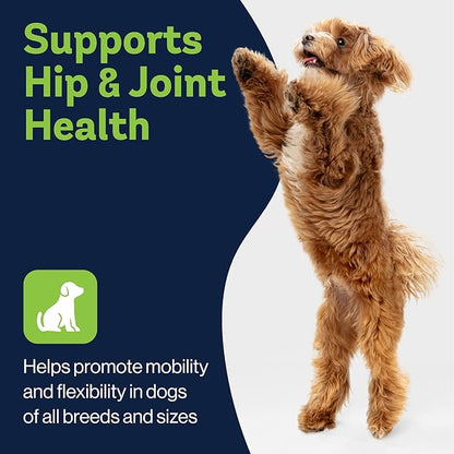 LVL Up Pup Dog Joint Supplement for Senior Dogs – Hip & Joint Supplement for Dogs with Glucosamine, Chondroitin, MSM – Dog Supplement for Large Breed – Joint Health Chews