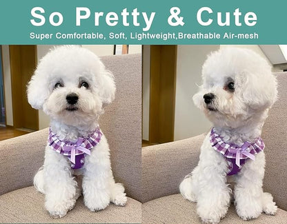 SuperBuddy Upgraded Soft Mesh Dog Harness, Super Breathable Lightweight Pet Harnesses for Puppy Dogs Outdoor Walking, Purple Dog Harness and Dog Leash Set Packing -XSmall