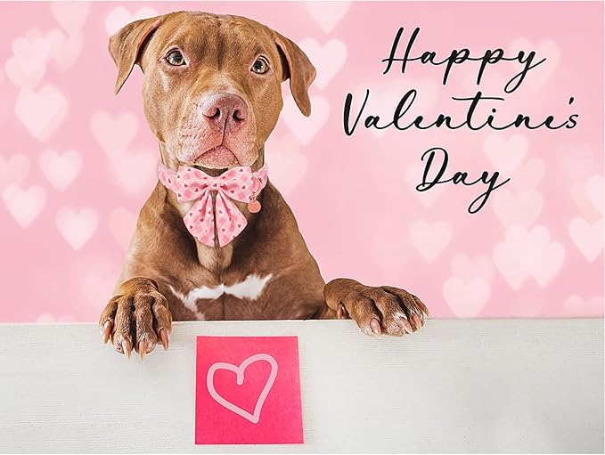 UP URARA PUP Valentine Dog Collar with Bow Tie, Medium Girl Dog, Cotton with Metal Buckle, Valentine's Day Gift, M, 13.5-22in, Pink Plaid