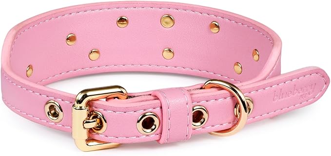 Blueberry Pet Premium Embossed Pink Glam Silver-Powered Freshness Microfiber Leather Dog Collar with Gold Studs