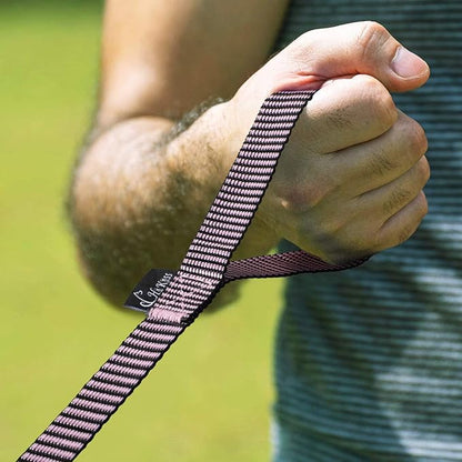 Hi Kiss Dog/Puppy Obedience Recall Training Agility Lead - 15ft 20ft 30ft 50ft 100ft Training Leash - Great for Training, Play, Camping, or Backyard(30ft,BL+PK)