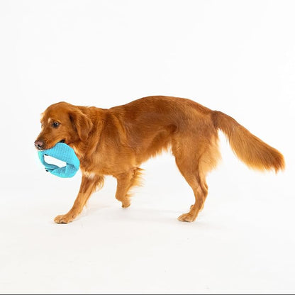 Playology Dog Toys | Plush Toy Crinkle Ring for Dogs | Jumbo Peanut Butter Scented Toy - Easy to Clean and Made from Non Toxic Materials