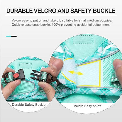 Mercano Soft Mesh Dog Harness and Leash Set, No-Chock Step-in Reflective Breathable Lightweight Easy Walk Vest Harnesses with Safety Buckle for Small Dogs, Cats (Light Green, M)