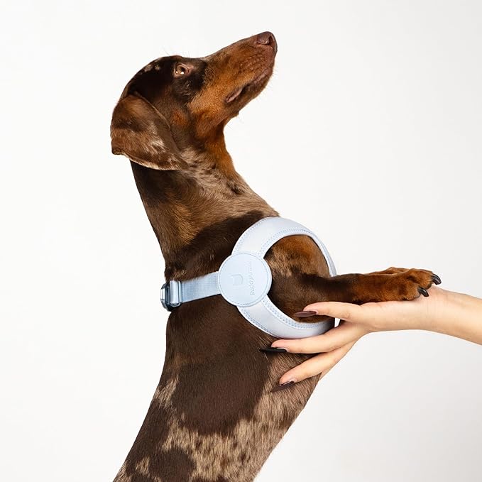 Ultra Comfortable Dog Harness Adjustable Soft Dog Vest, Alloy Buckle Closure Lightweight Stretchy Puppy Harness Step in for Small Sized Dogs Walking Training (Linen, XS)