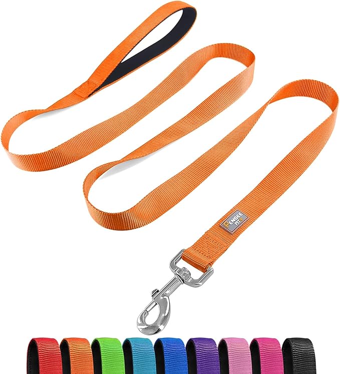 Basic Dog Leashes 6 FT Padded Handle Nylon Dogs Leashes for Large Dogs Orange