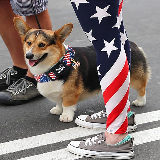 Independence Dog Collar-USA Flag Print Pet Collar Adjustable Cute Soft Comfortable Cotton Collars Holiday Puppy Collar Gift for X-Small Dogs