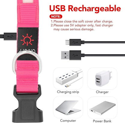 Vizpet LED Dog Collar, Light Up Dog Collar Adjustable USB Rechargeable Super Bright Safety Light Glowing Collars for Dogs (Medium, Pink)