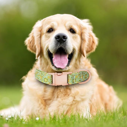 Dog Collar and Leash Set Girls Adjustable Puppy Collars with Planet Bow Tie for Small Medium Large Female Dogs, Green Planet, L
