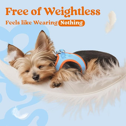 rabbitgoo Small Dog Harness, Step-in Soft Mesh Puppy Vest with Safety Buckle, Breathable Reflective Pet Harness for Small Medium Dogs, Blue & Orange XL