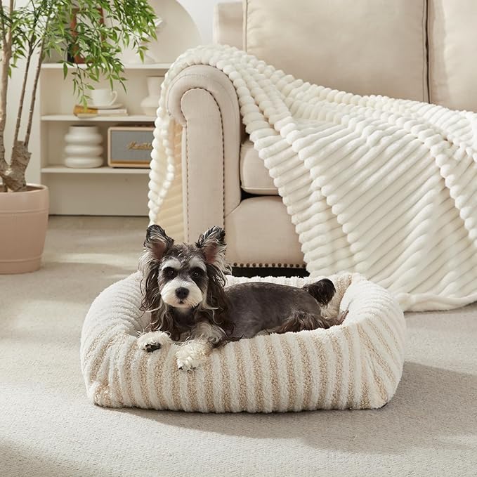 MIXJOY Dog Beds for Small Dogs Cats, Washable Dog Bed with Removable Cover, Soft Calming Cat Bed for Indoor Cats, Rectangle Pet Sofa Bed for Puppy Kitty, Anti-Slip Bottom,20"x19"x6", White