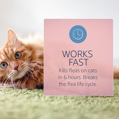 Catego for Cats Flea and Tick Treatment & Prevention (Over 1.5 lbs) 6-Month Supply