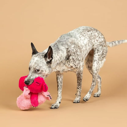 Fringe Studio Plush Dog Toy, 2 Pieces Set, Cuddle Buds, Petshop Collection (312063)