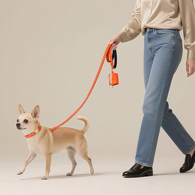 Didog 5FT Colorful Nylon Dog Leash with Soft Full-Length Padding, Lightweight and Durable Pet Leash for Small Dogs, Orange, S