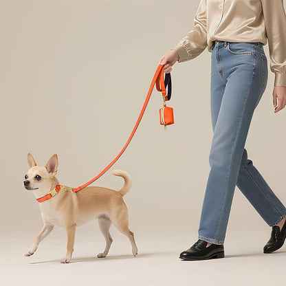 Didog 5FT Colorful Nylon Dog Leash with Soft Full-Length Padding, Lightweight and Durable Pet Leash for Small Dogs, Orange, S