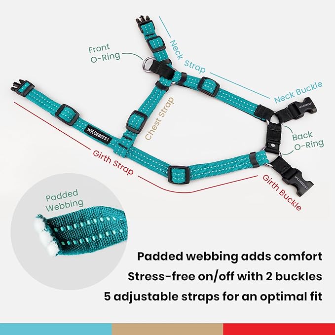 Wildebeest Valencia No Pull Dog Harness | Front and Back Leash Clips | Soft Padded Straps | Lightweight, Adjustable, Easy On/Off for Training and Dog Walking | Small Turquoise