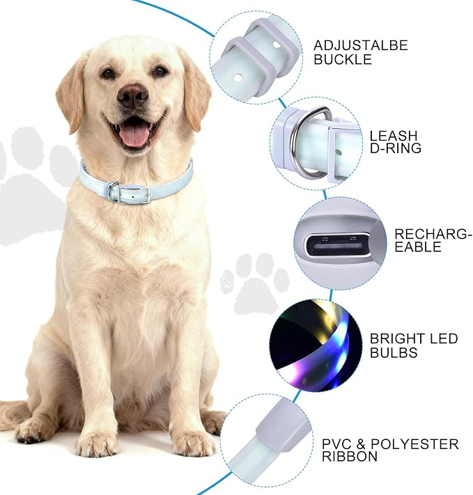 Lighted Dog Collar, Rechargeable Light Up Pet Collar, Waterproof LED Dog Collar Glow in The Dark, Make Pet Visible and Safety for Night Walking for Small Medium Large Dogs (Green)