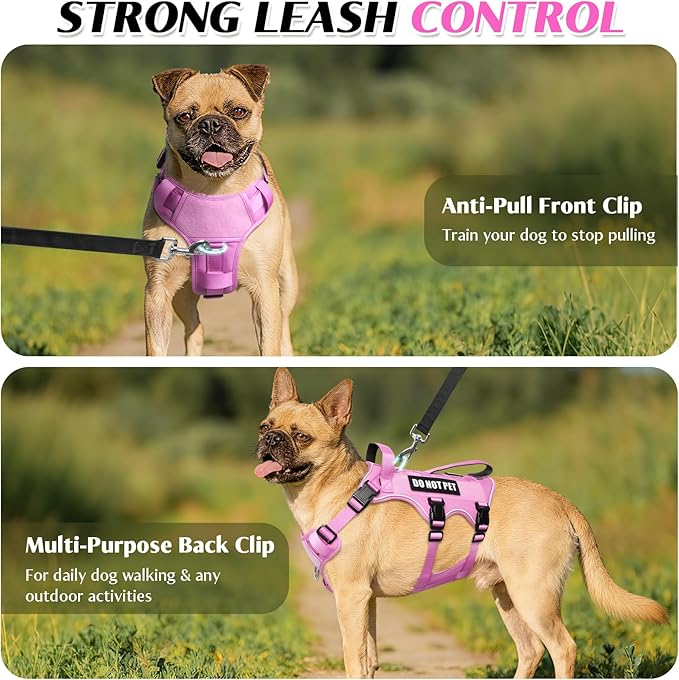 WINSEE Escape Proof Dog Harness, Service Working Molle Harness with Double Handle, Tactical Pet Vest with 4 Patches for Small Medium Large Dogs Walking Hiking Hunting