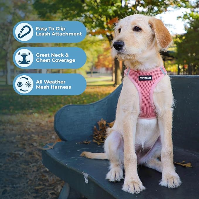 Best Pet Supplies Voyager Step-in Air Harness - All Weather Mesh, Reflective, No Pull Harness for Dogs, Cats - Secure with Hook & Loop Fastener, Buckle, Double D-Rings - Pink, XL