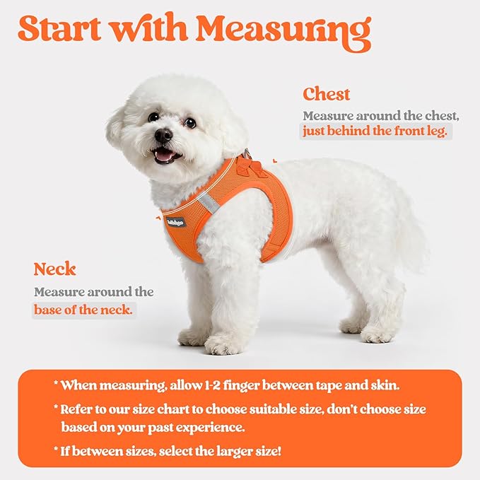 rabbitgoo Dog Harness Small Medium Sized and Leash Set, Step in Soft Light Puppy Vest, Breathable Mesh Pet Harness, Reflective for Safe Easy Walking, Orange L