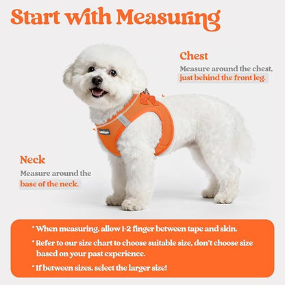 rabbitgoo Dog Harness Small Sized and Leash Set, Step in Soft Light Puppy Vest, Breathable Mesh Pet Harness, Reflective for Safe Easy Walking, Orange XS