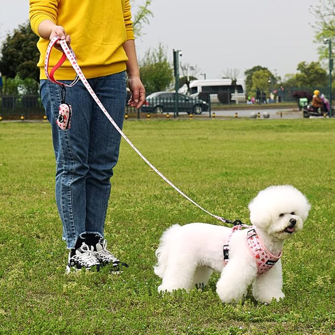 Dog Harness and Leash Set, Adjustable Dog Harness, Dog Leash, No Pull No Choke Puppy Harnesses for Walking Training for Small Medium Pet