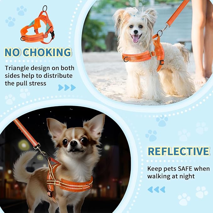 Lukovee No Pull Dog Harness and Leash Set, Soft Padded Small Dog Harness, Neck & Chest Adjustable Reflective Vest Puppy Harness with 4ft Lightweight Anti-Twist Dog Leash for Small Dogs (Orange, XS)