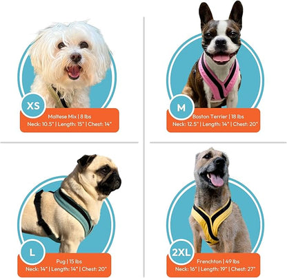 Gooby Comfort X One Dog Harness - Head-in Dog Harness for Small & Medium Sized Dogs - Escape-Free & Choke Free - Breathable Mesh, Shock Absorbing, Easy Snap & Swivel Buckles - Black, Small
