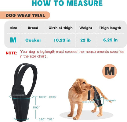 Dog Knee Brace for Torn ACL Hind Leg–Adjustable Support Dog Leg Brace for Back Leg with 2 Stabilizers, Hip Support to Reduces Pain Luxating Patella , Ligament Injuries, CCL (Black, Right Leg, M)
